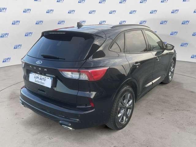 Ford Kuga 2.0 ecoblue ST-Line X 2wd 120cv auto