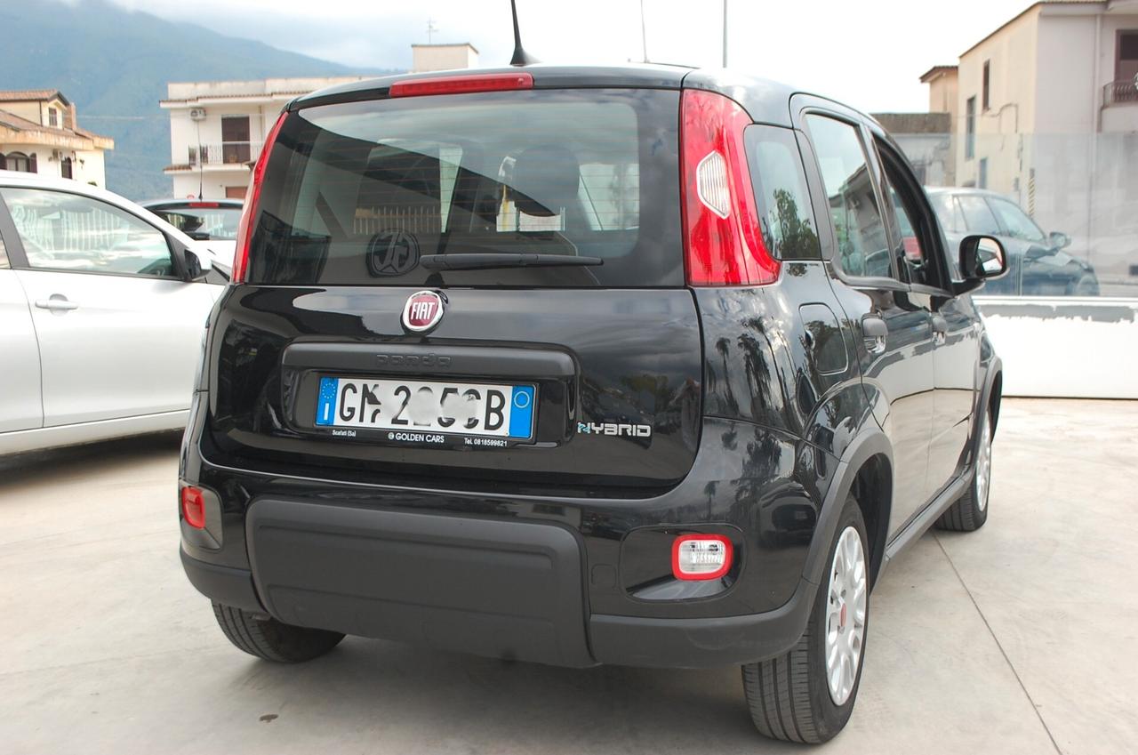 Fiat Panda 1.0 firefly 70CV hybrid City Life S&S Uff Italy