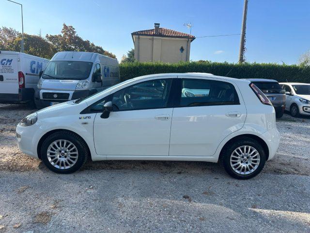 FIAT Punto 1.3 MJT II S&S 85 CV 5 porte ECO Young