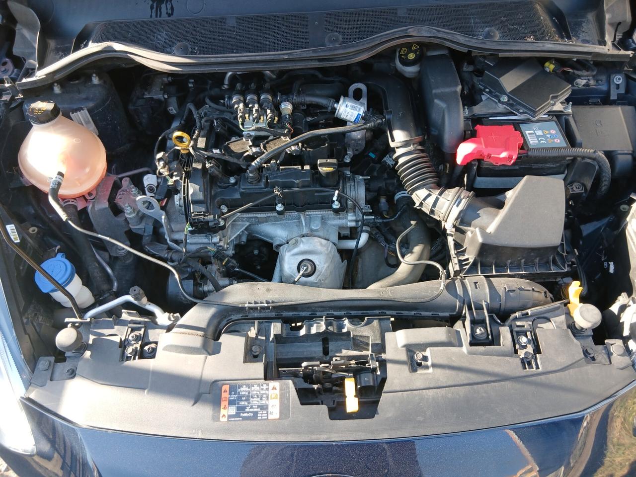 Ford Focus 1.5 EcoBlue 120 CV 5p. ST-Line