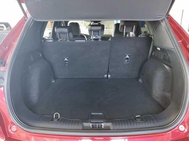 Ford Kuga 2.0 EcoBlue Hybrid 150 CV 2WD ST-Line X