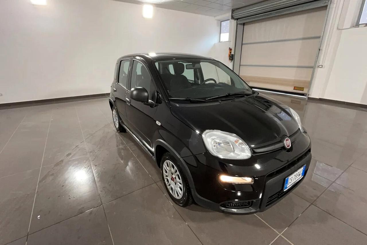 Fiat Panda 1.2 69CV GPL CASA MADRE - 2024