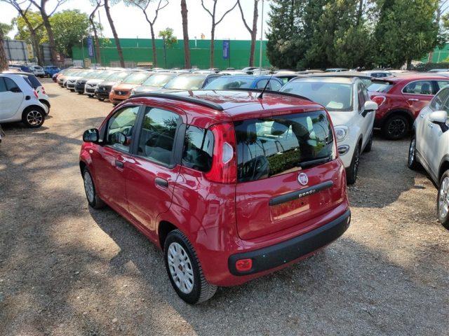 FIAT Panda 1.2 Easy 69cv CLIMA MANUALE OK NEOPATENTATI ..