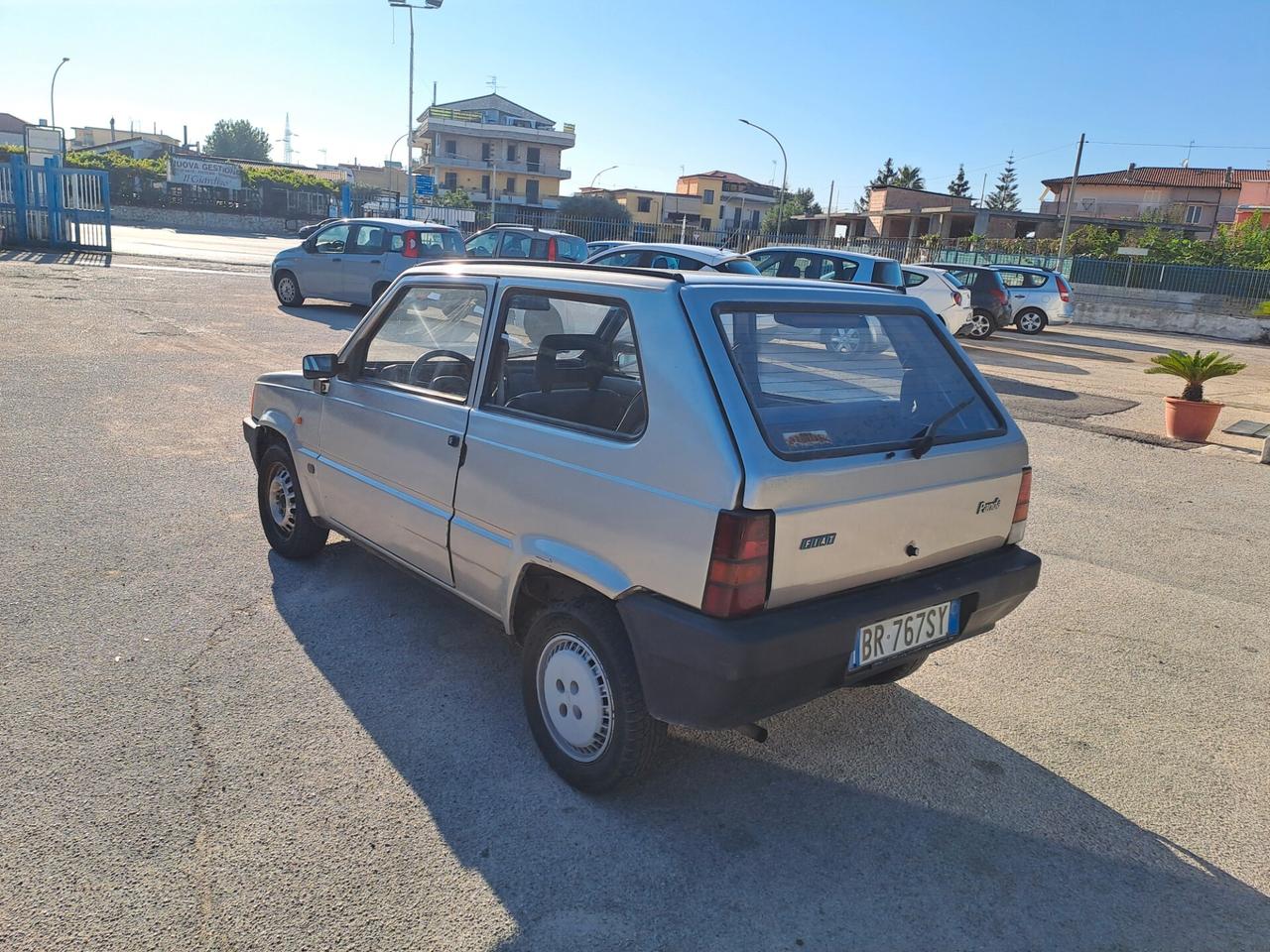 Fiat Panda 1100 i.e. cat Young