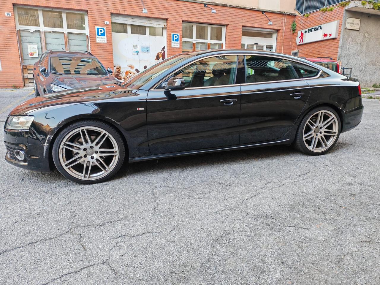 Audi A5 SPB 3.0 V6 TDI F.AP. quattro modello eseline