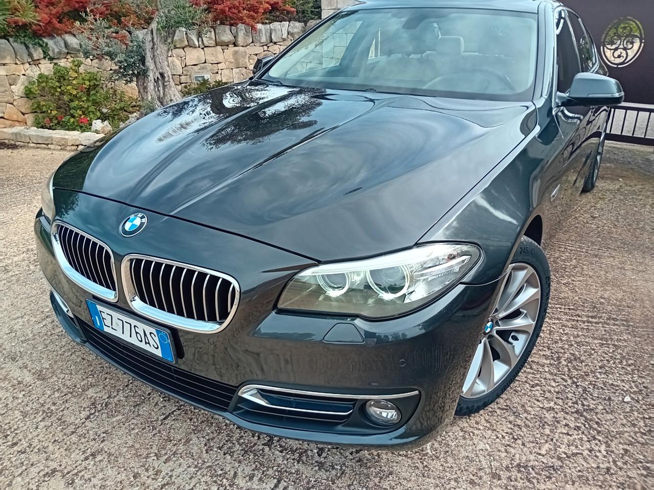 Bmw 520 520d Luxury
