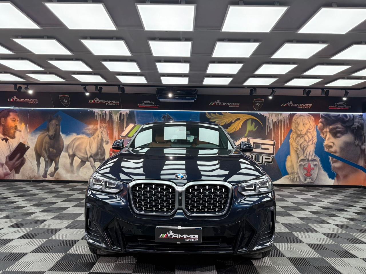 Bmw X4 xDrive20i 48V Msport (227)