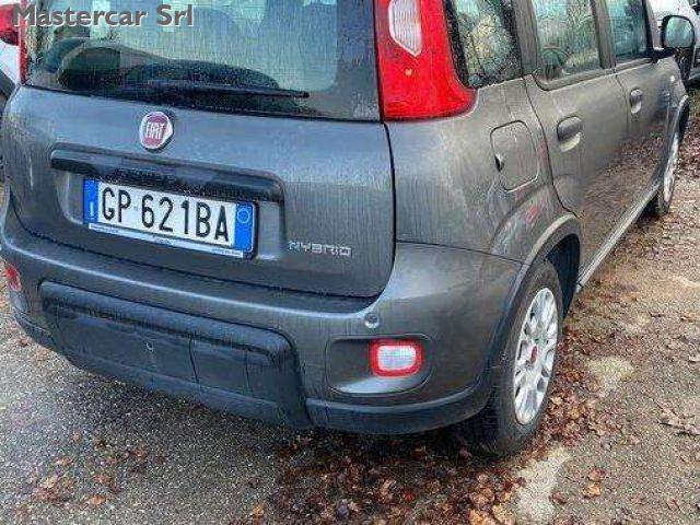 FIAT Panda Panda III 2021 1.0 firefly hybrid tg : GP621BA
