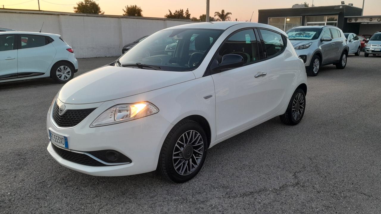Lancia Ypsilon 1.2 69 CV 5 porte Platinum