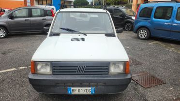 Fiat Panda 900 i.e. cat Young