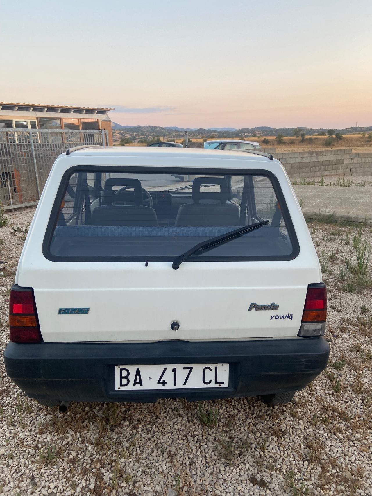 Fiat Panda 900 i.e. cat Young