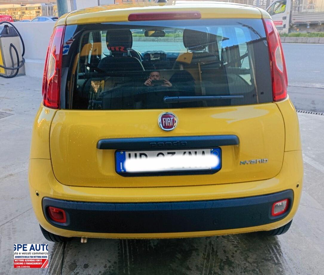 Fiat Panda PANDINA 1.0 FireFly S&S Hybrid Icon