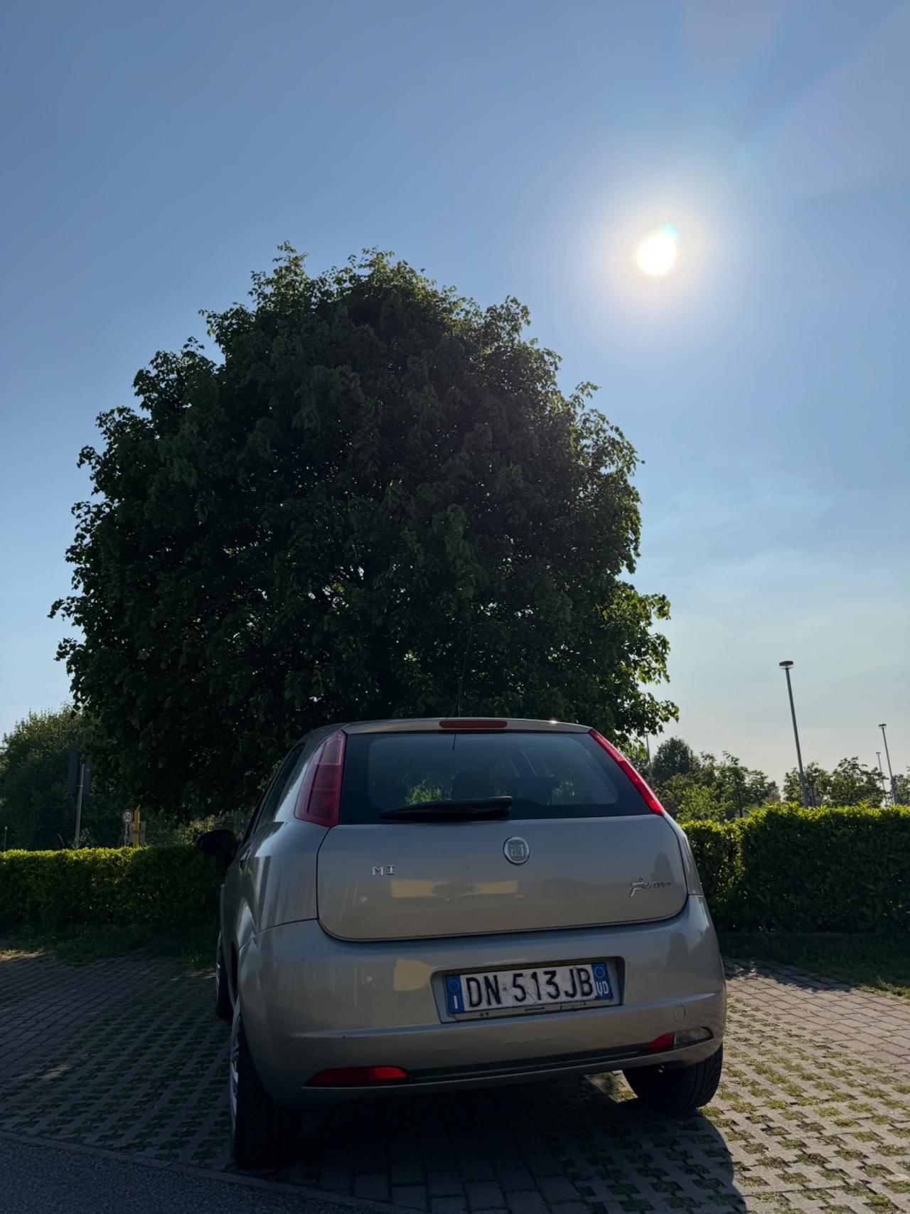 Fiat Punto Classic 1.2 5 porte Dynamic