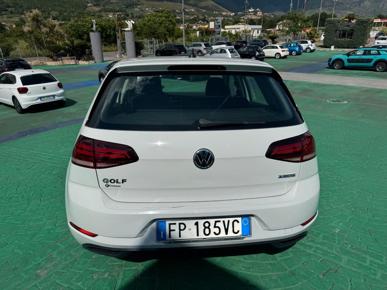 Volkswagen Golf 1.4 TGI 5p. Executive BlueMotion