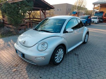 Volkswagen New Beetle New beetle 1.6 102cv FL