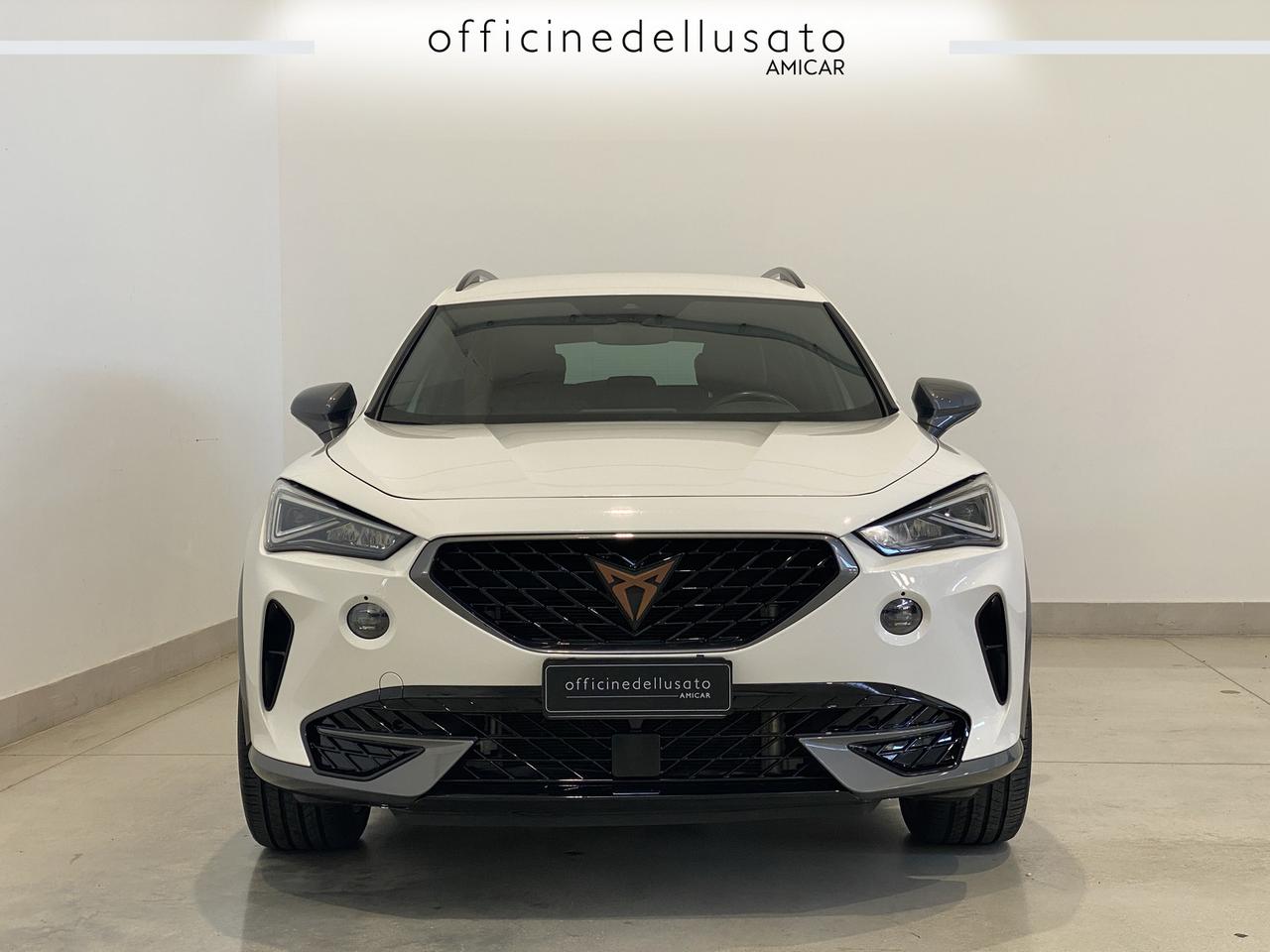 Cupra Formentor 2.0 tdi 150cv
