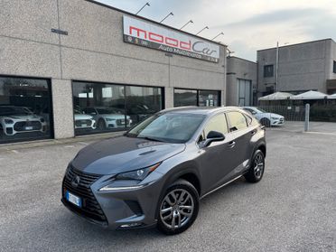 Lexus NX 300h Hybrid 4WD Business FULL OPTIONAL