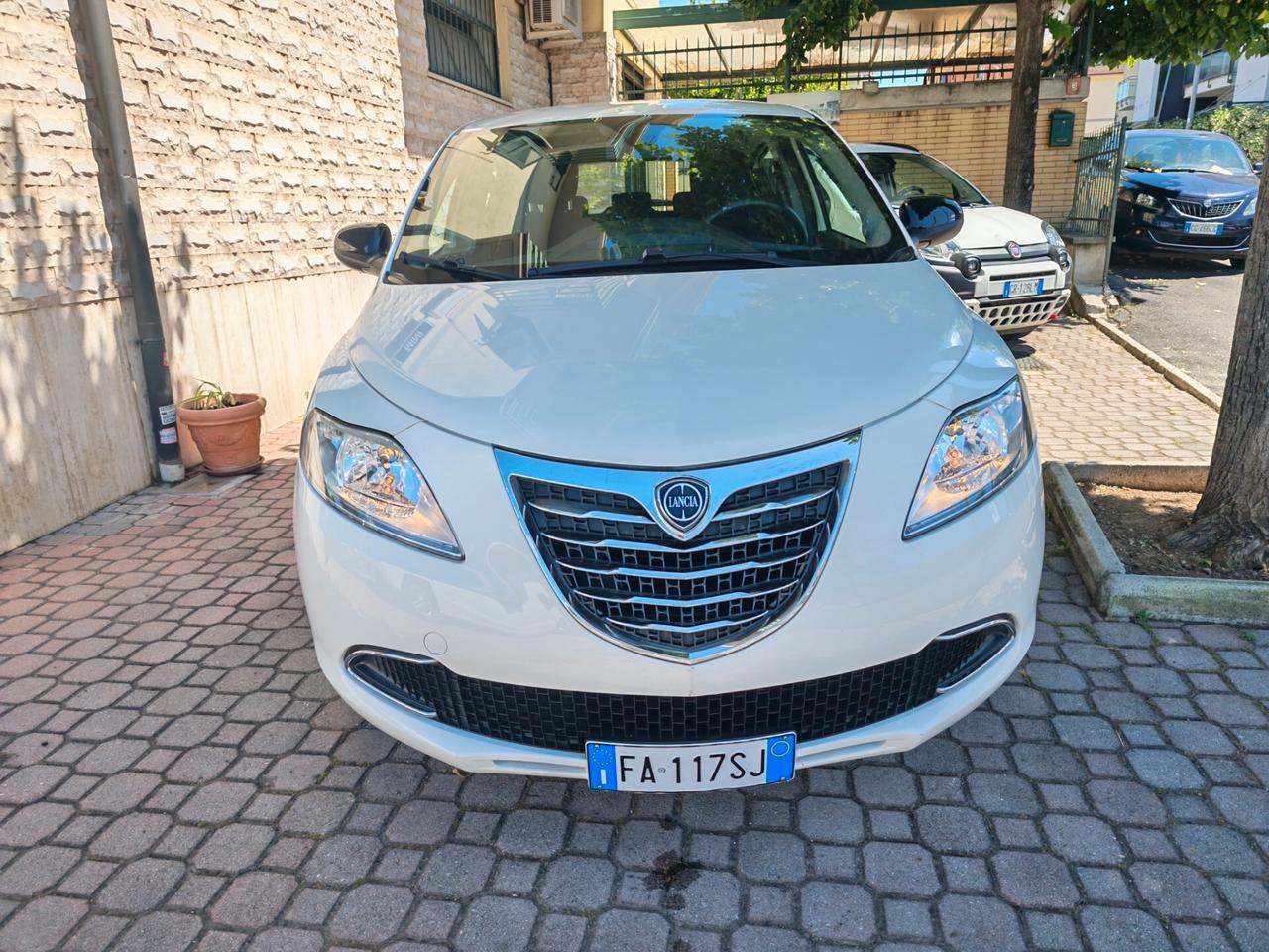 Lancia Ypsilon 1.2 69 CV 5 porte Elefantino