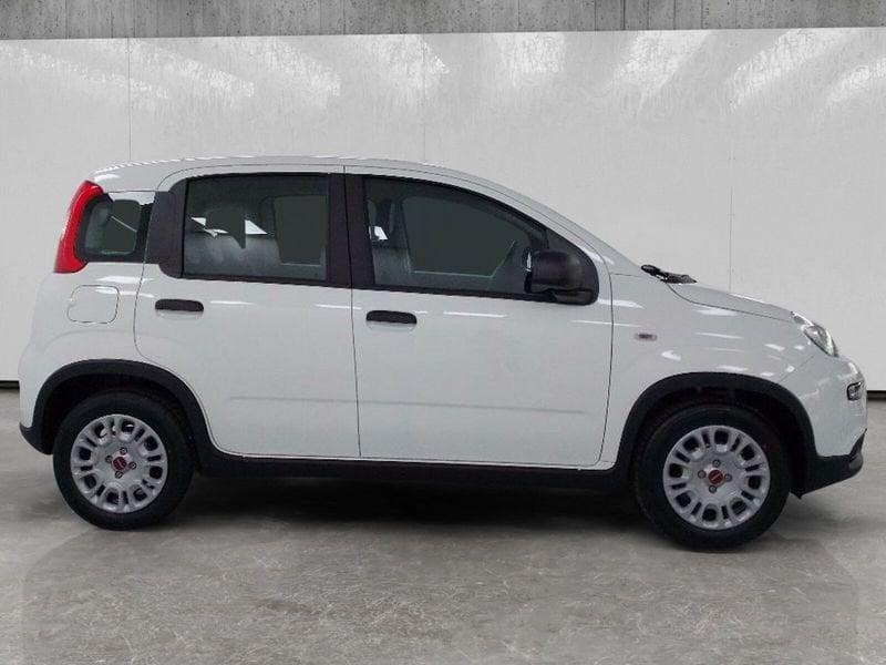 FIAT Panda 1.0 firefly hybrid s&s 70cv 5p.ti