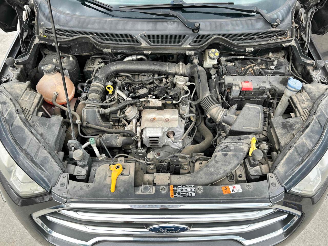 Ford EcoSport 1.0 Benzina 100CV - 2019 Motore Rotto