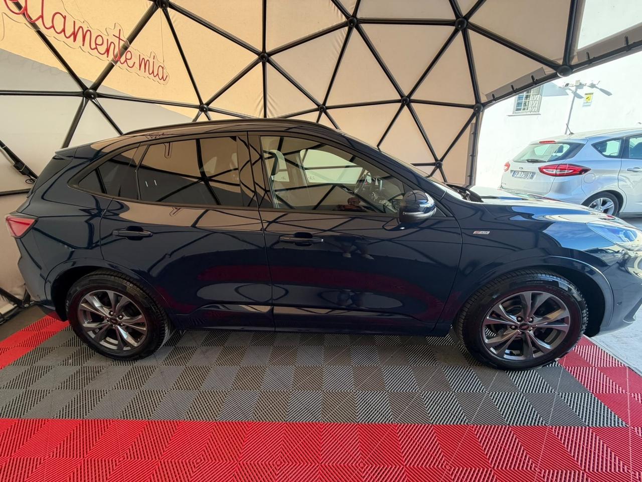 Ford Kuga 1.5 EcoBlue 120 CV aut. 2WD ST-Line X