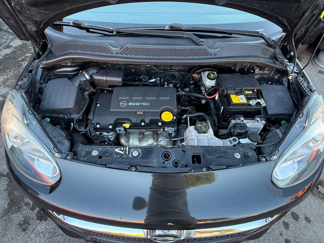 Adam 1.2 /rate/permute/garanzia/neopatentati