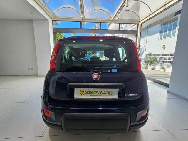 FIAT Panda 1.0 FireFly S&S Hybrid City Life da ?119,00 mensil