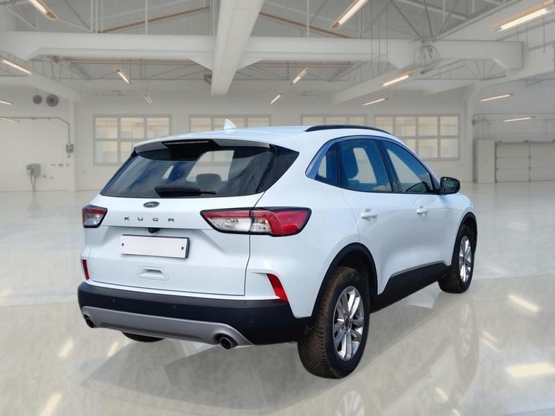 FORD KUGA 1.5 EcoBlue 120CV 2WD Titanium Business Auto