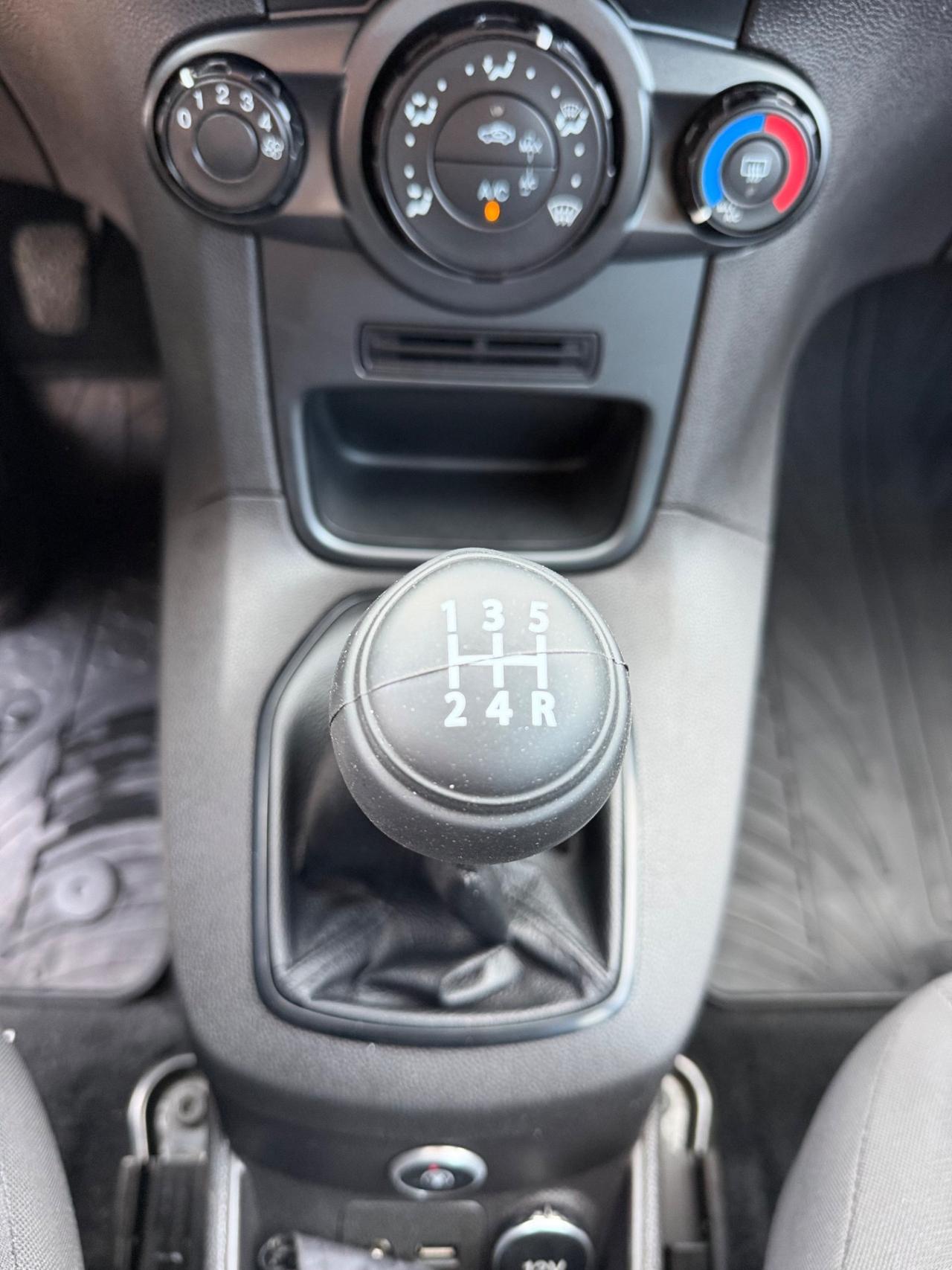 Ford Fiesta 1.4 5 porte Bz.- GPL Black & White Edition