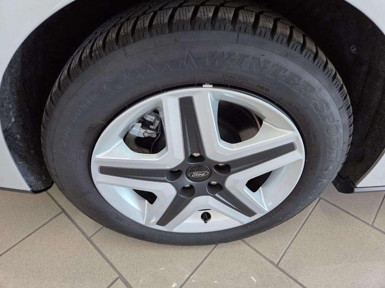 Ford Focus 1.5 EcoBlue 120 CV SW Business
