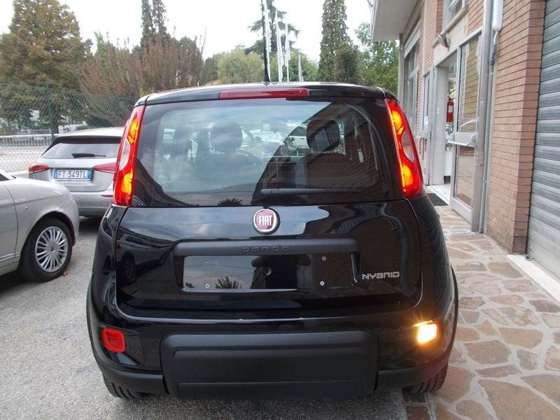 FIAT Panda 1.0 FireFly S&S Hybrid KM. ZERO 338.7575187 MASSARI MARCO