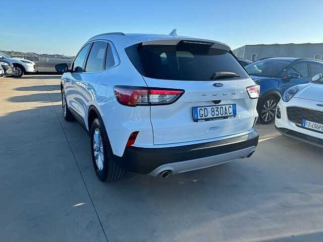 Ford Kuga 1.5 EcoBlue 120 CV 2WD Titanium Business