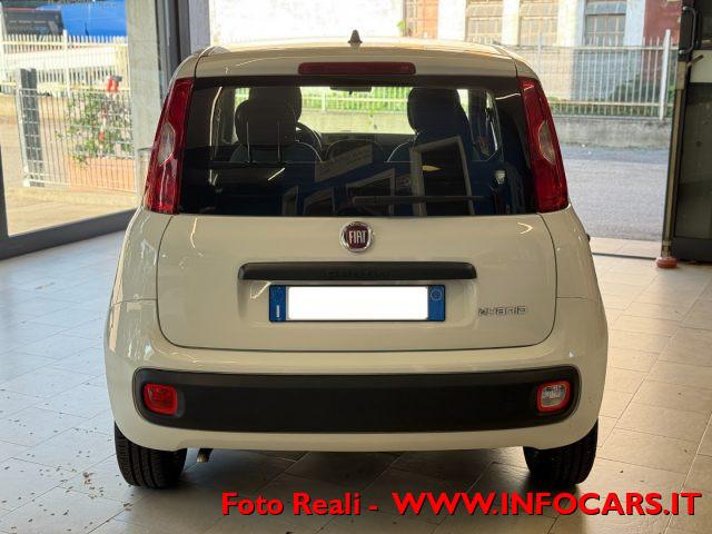 FIAT Panda Hybrid 1.0 FireFly 70 cv Neopatentati - PROMO