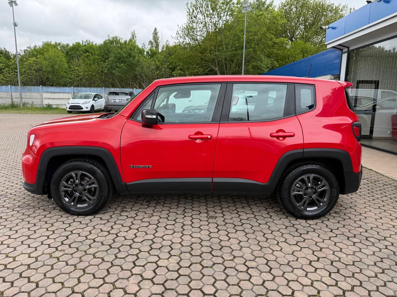 Jeep Renegade 1.6 Mjt 130 CV Longitude OK NEOPATENTATI