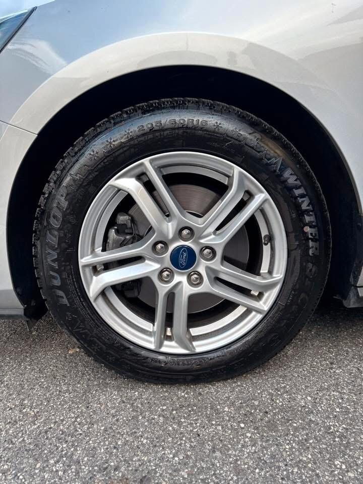 Ford Focus 1.5 EcoBlue 120 CV automatico SW Business Co-Pilot