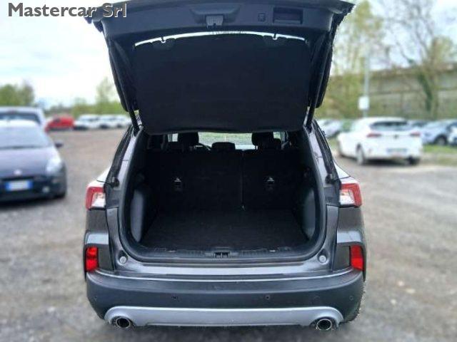 FORD Kuga Kuga III 1.5 ecoblue Titanium Business 2wd 120cv