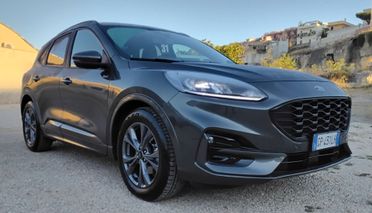 Ford Kuga 2.0 EcoBlue 120 CV aut. 2WD ST-Line
