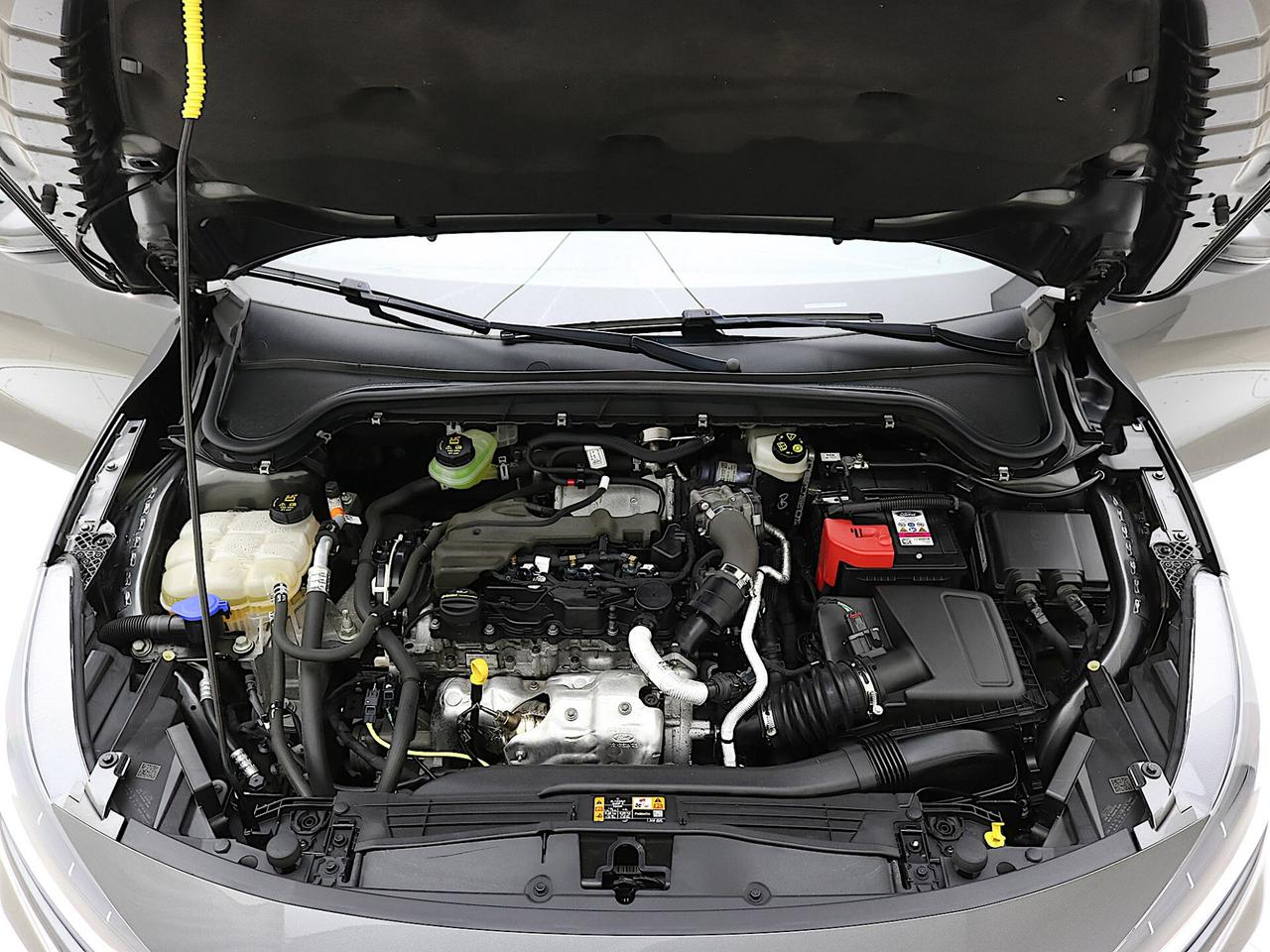 Ford Focus 1.5 EcoBlue 120CV Auto 5 Porte ST-Line