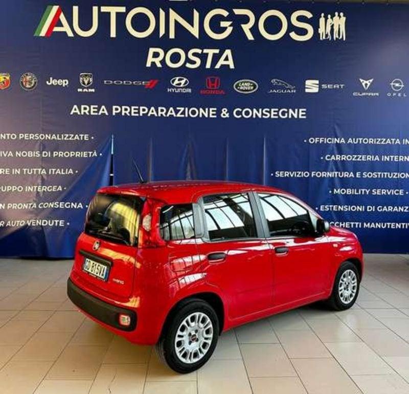 FIAT Panda 1.0 Firefly hybrid s&s 70 cv USATO GARANTITO