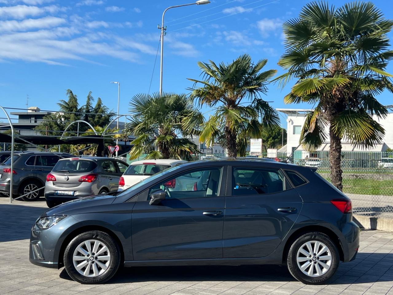 Seat Ibiza 1.6 TDI 95 CV 5 porte Business