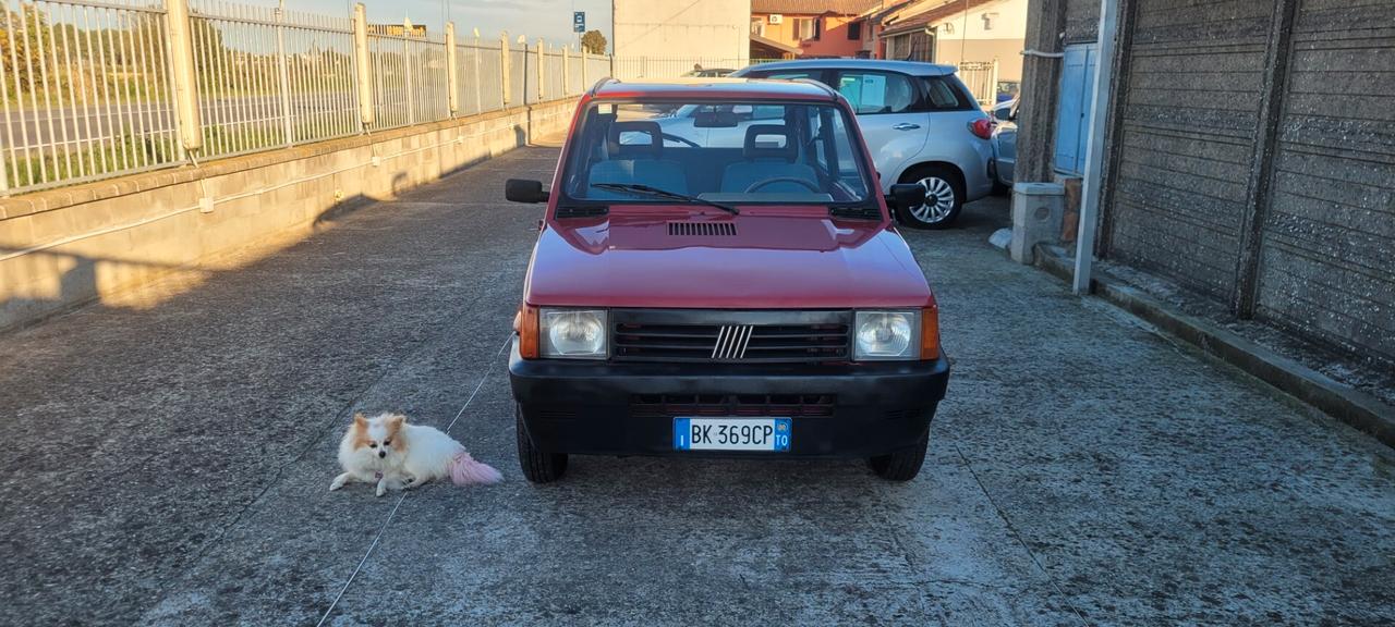 Fiat Panda 900 i.e. cat Young