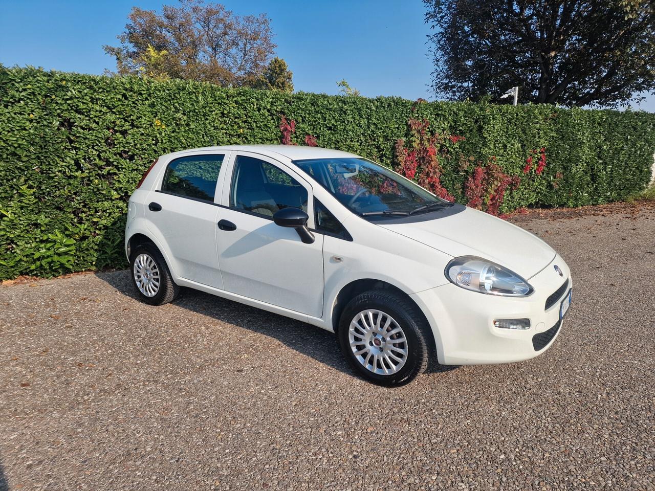 Fiat Punto 1.4 8V 5p Natural Power 2018