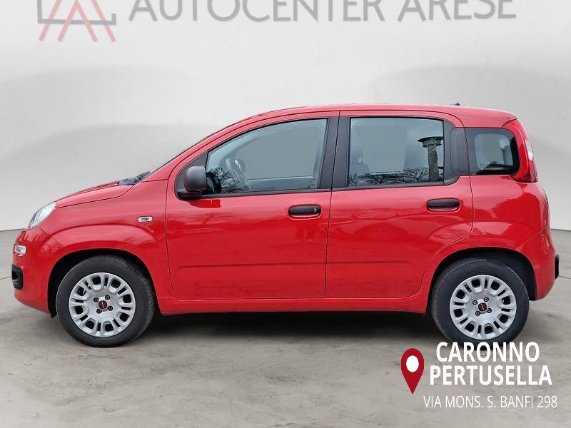 Fiat Panda 1.2 Easy s&s 69cv my19