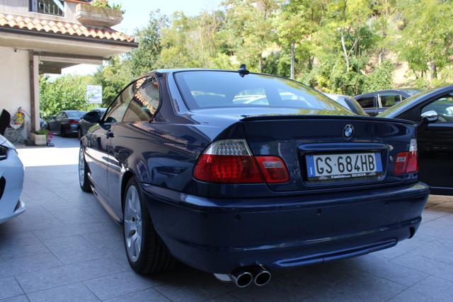 BMW 330 Ci cat