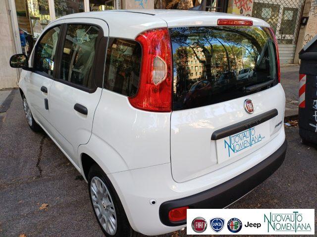 FIAT Panda Pandina 1.0 FireFly S&S Hybrid Icon Km0