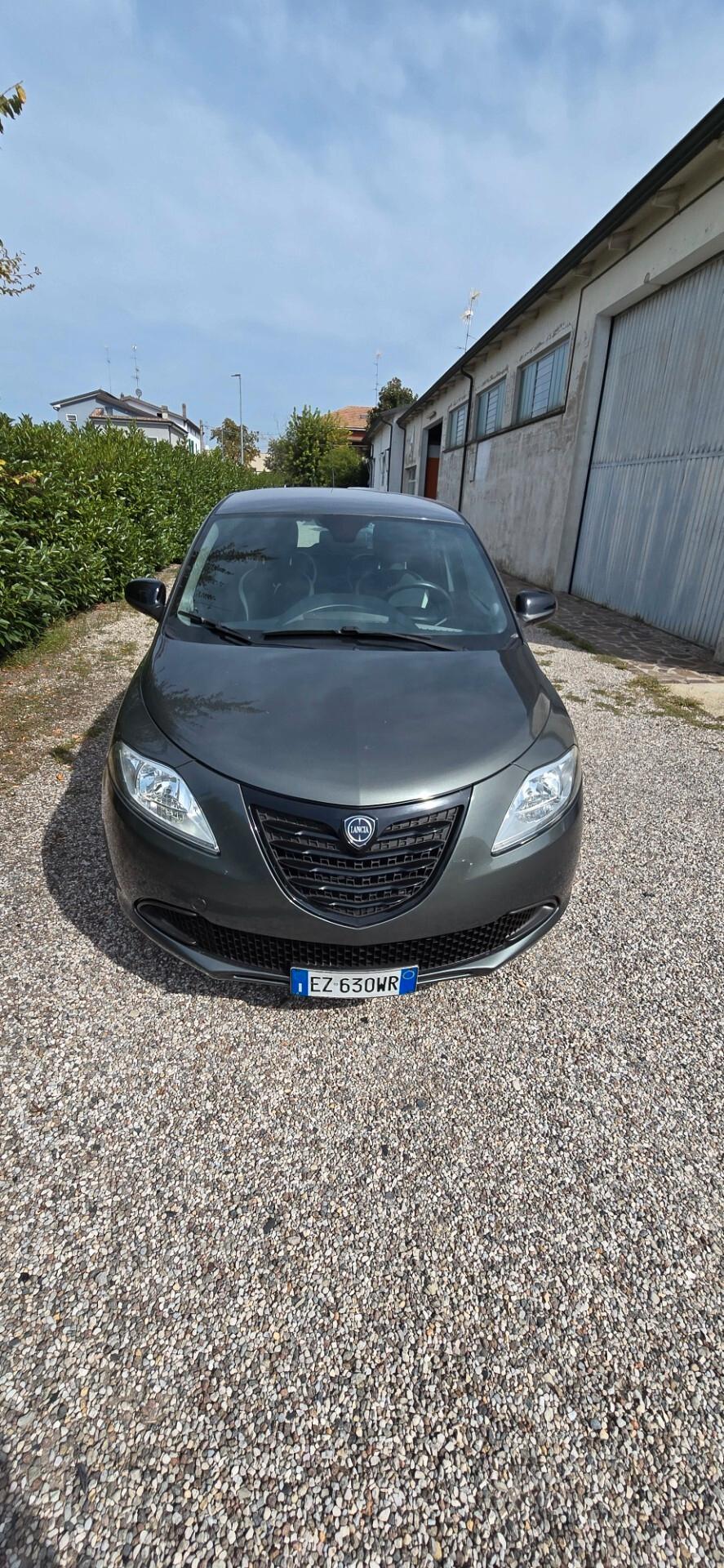 Lancia Ypsilon 1.3 MJT 16V 95 CV 5 porte S&S Elefantino