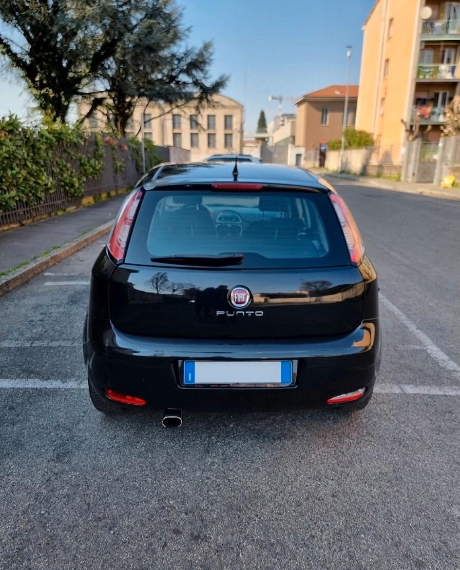 Fiat Punto 1.2 Benzina 8V 5 porte Lounge