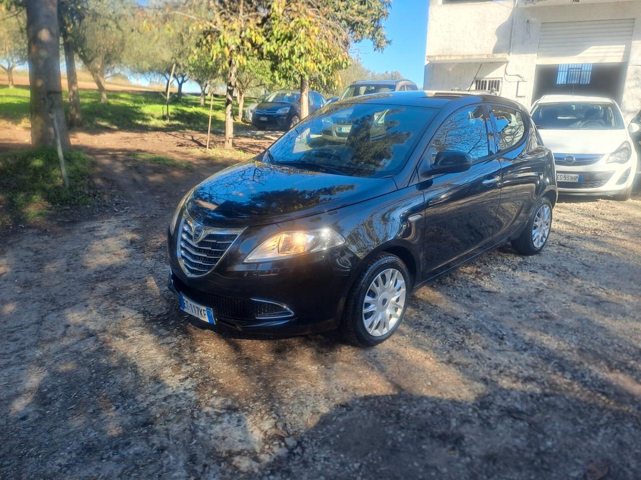 Lancia Ypsilon 1.3 MJT 16V 95 CV 5 porte S&S Platinum