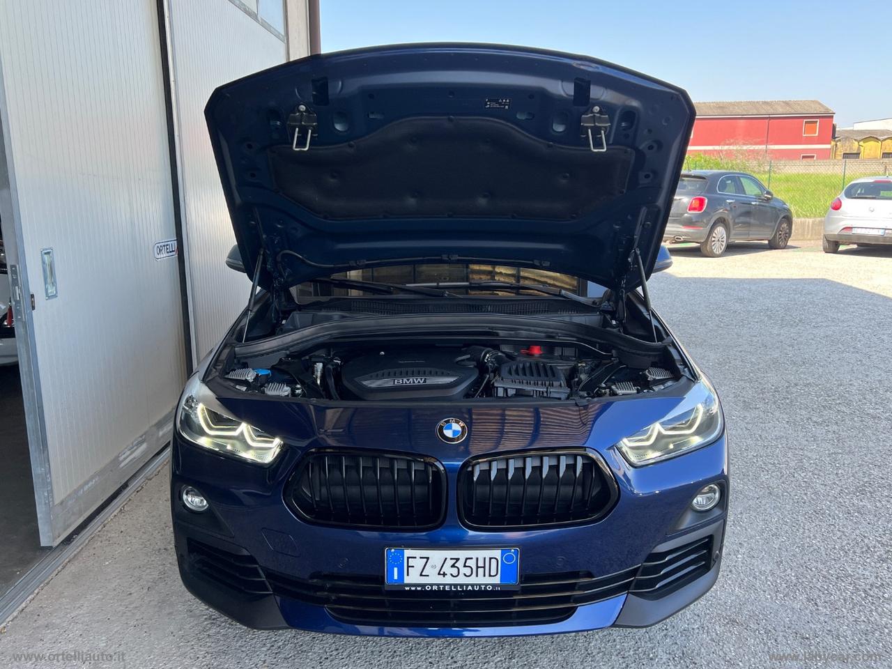 BMW X2 xDrive20d Business-X
