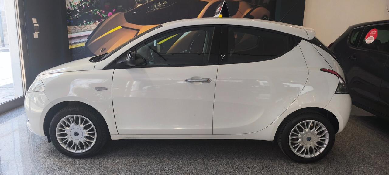 Lancia Ypsilon 1.2 69CV Gold SENSORI 2016